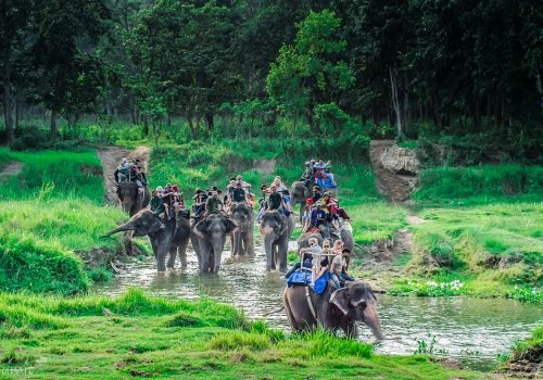 Chitwan Jungle Safari